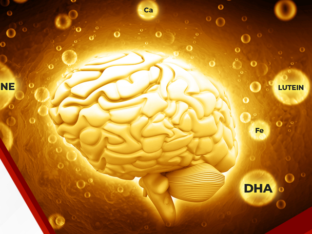 WNSC Learning Lead 2024 GUM Header.png