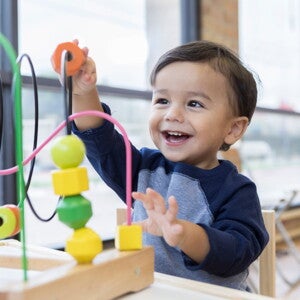 USDA National Nutrient Database for Standard Reference