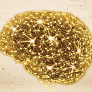 THE_20BRAIN_20Opening_Page_1