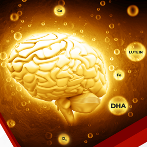 WNSC Learning Lead 2024 GUM Header.png